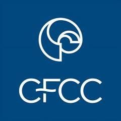 Cape Fear Community College Online