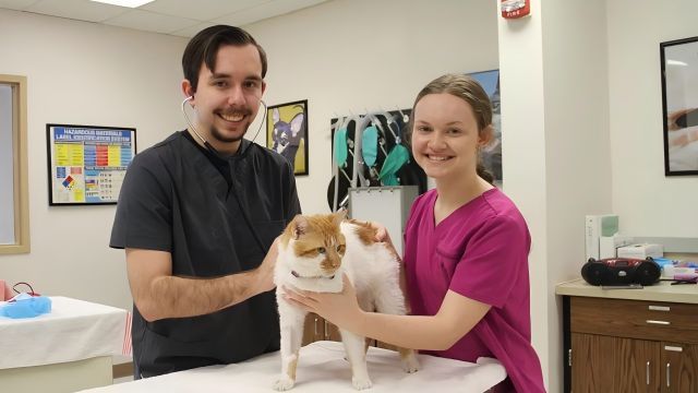 Apex College of Veterinary Technology