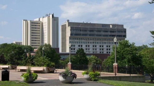 UMass Global Online Campus