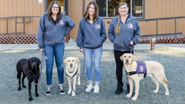 Bergin University of Canine Studies
