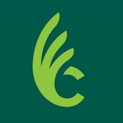 College of Wilmington