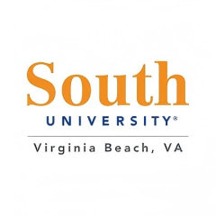 South University - Online