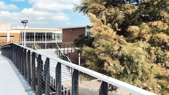 Grayson College