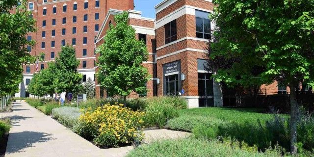 The Christ College of Nursing & Health Sciences